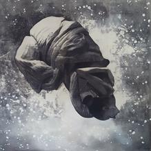 Evolution 30x30_1594274359.jpg